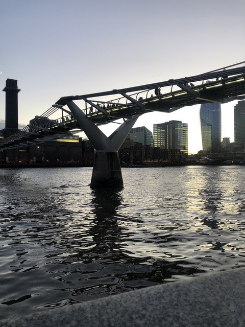 Millenium Bridge - Courtesy of E.A Williams.