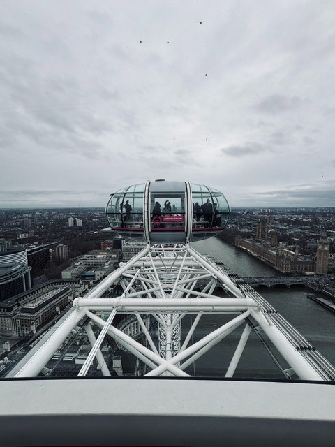 London Eye - Courtesy of E.A Williams.